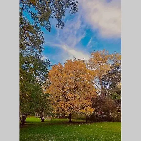 Out & Prunelliers * クーヴァン