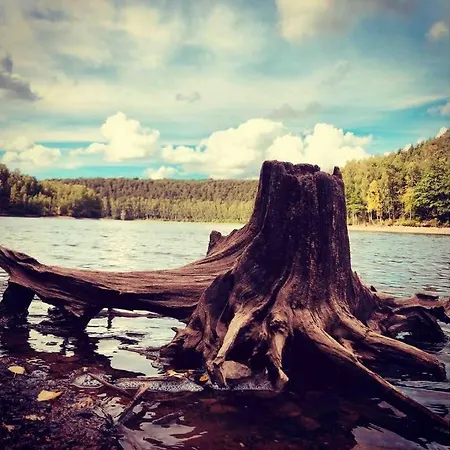 Out & Prunelliers شقة كوفين