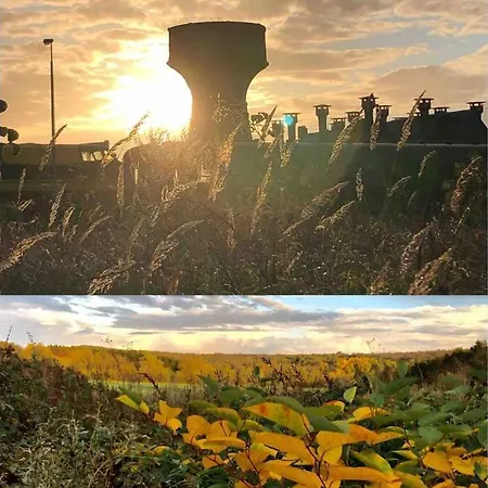 Out & Prunelliers كوفين