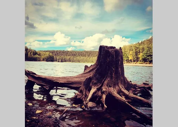 Out & Prunelliers Апартаменты Кувен